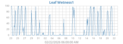 monthwetleaf